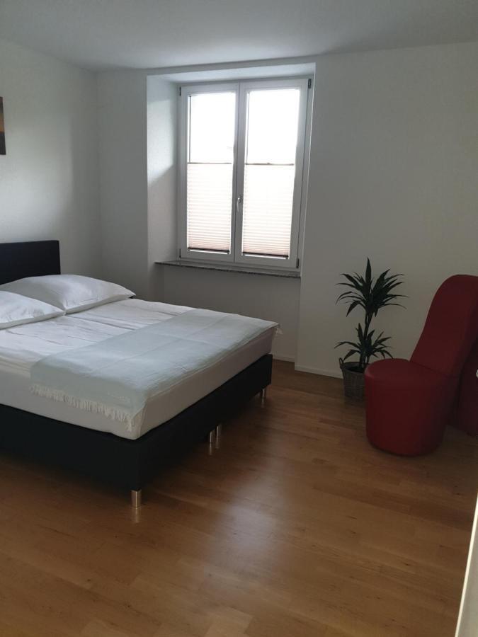 Business Apartment Turgi 外观 照片