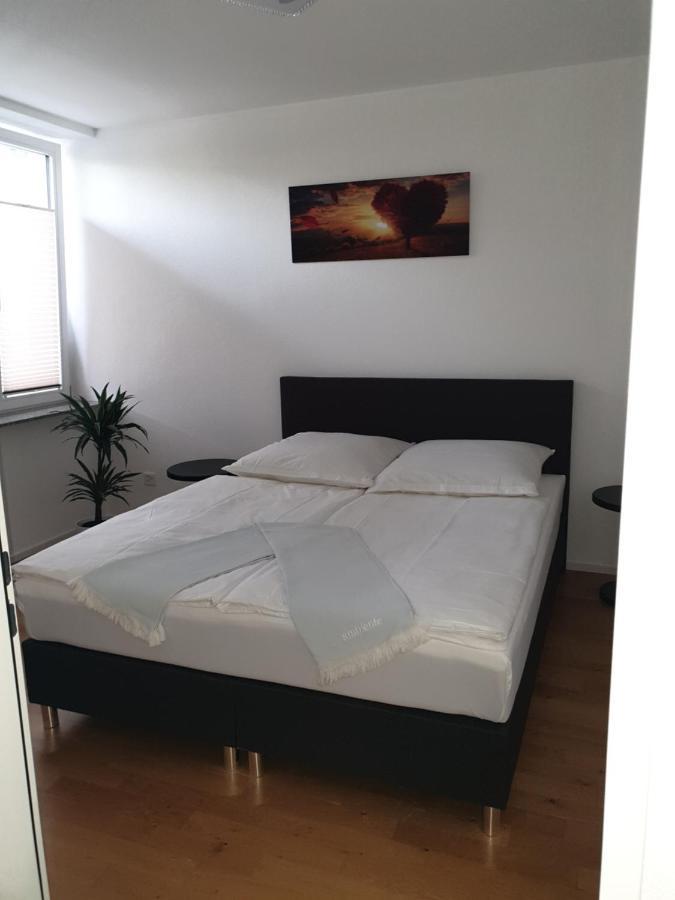 Business Apartment Turgi 外观 照片