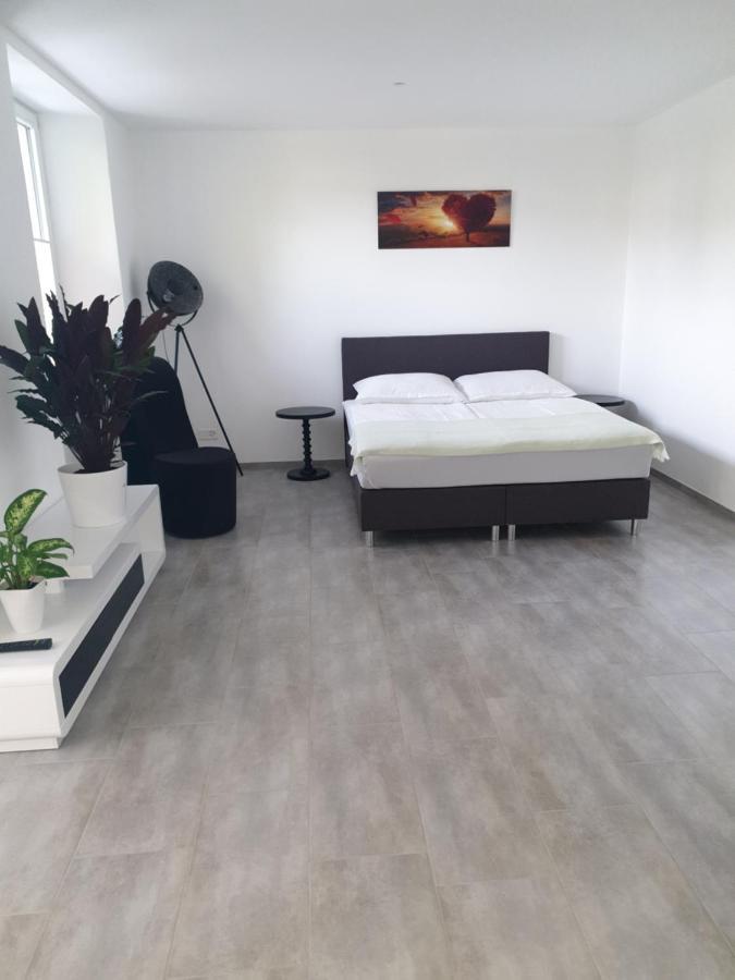 Business Apartment Turgi 外观 照片